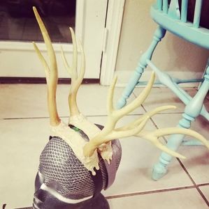 Antler Headband (Lightweight)